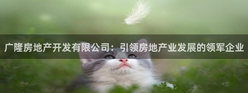 万向娱乐的联系方式是什么