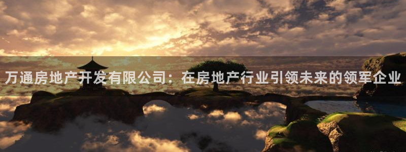 万向娱乐是野鸡台吗