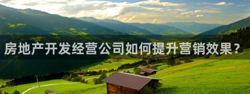 万向娱乐的494o3 主管