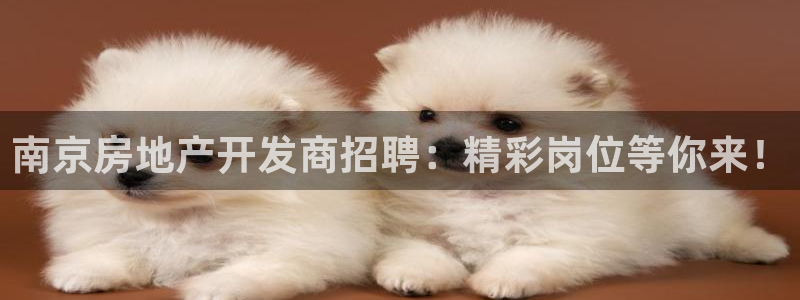 万向娱乐登陆官网入口