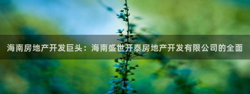 万向娱乐总代