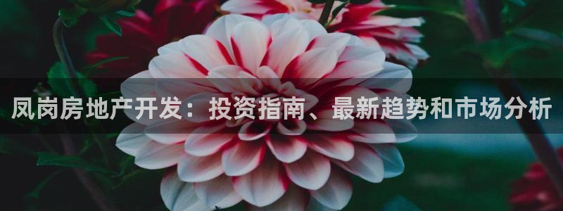 万向娱乐是哪个旗下