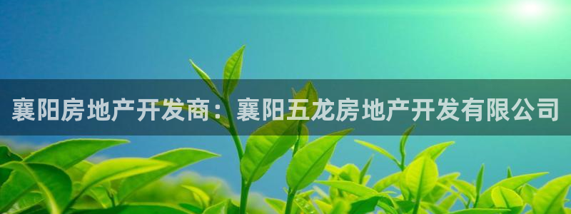 万能娱乐平台直招代理