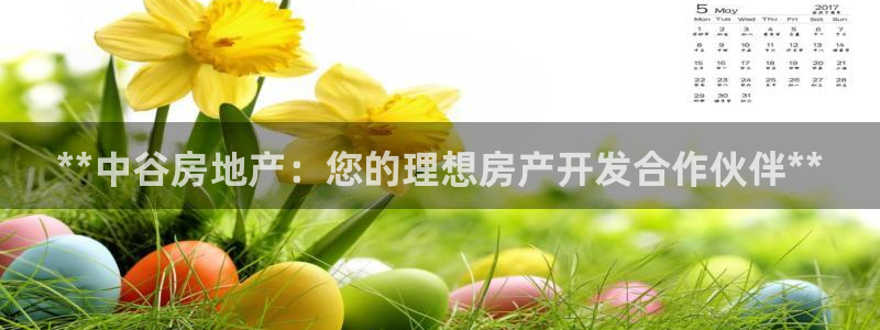 万向娱乐
