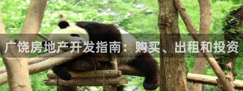 万向娱乐平台代理怎么样可靠吗