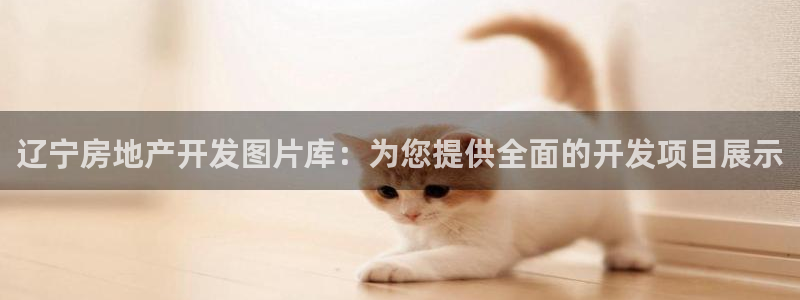 万向娱乐是野鸡台吗
