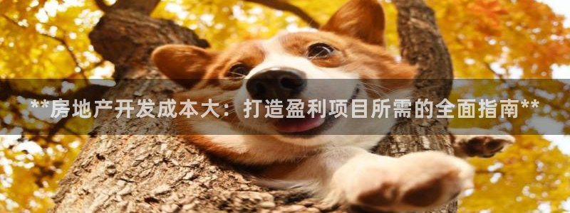 万向娱乐是哪个旗下