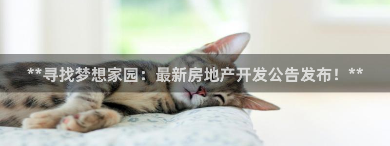 万向娱乐