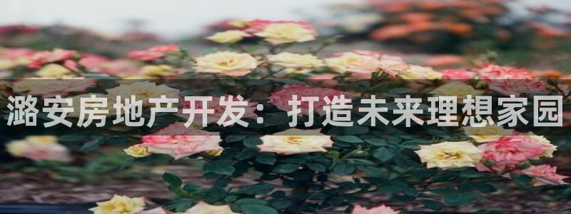 万向娱乐平台代理怎么做的