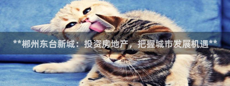 万向娱乐平台代理怎么样