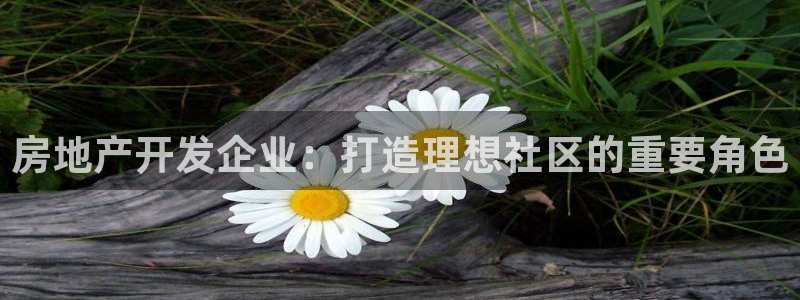 万向娱乐灯333OO