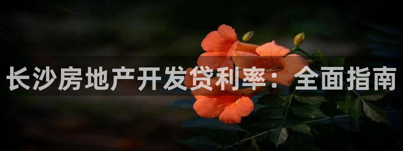 万向娱乐登陆官网