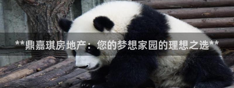 万向娱乐官网网址