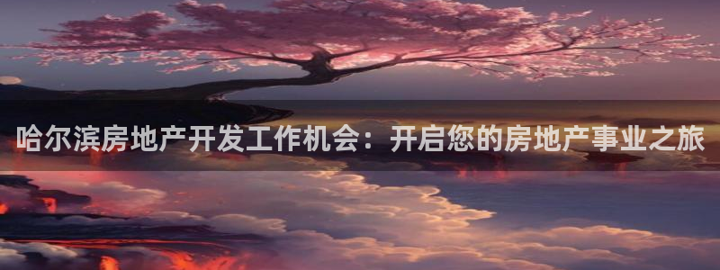 万向娱乐平台代理怎么样啊